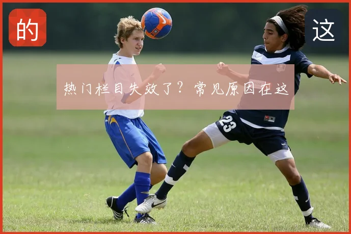 热门栏目失效了？常见原因在这
