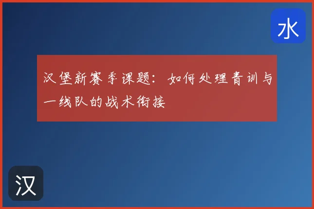汉堡新赛季课题：如何处理青训与一线队的战术衔接